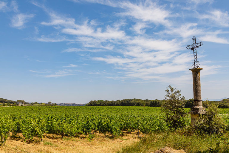 Vignoble Château d'Aqueria